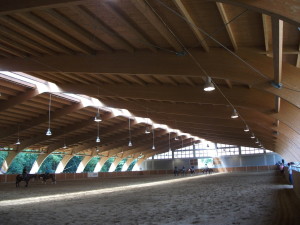 Case in Legno Residenziale 1